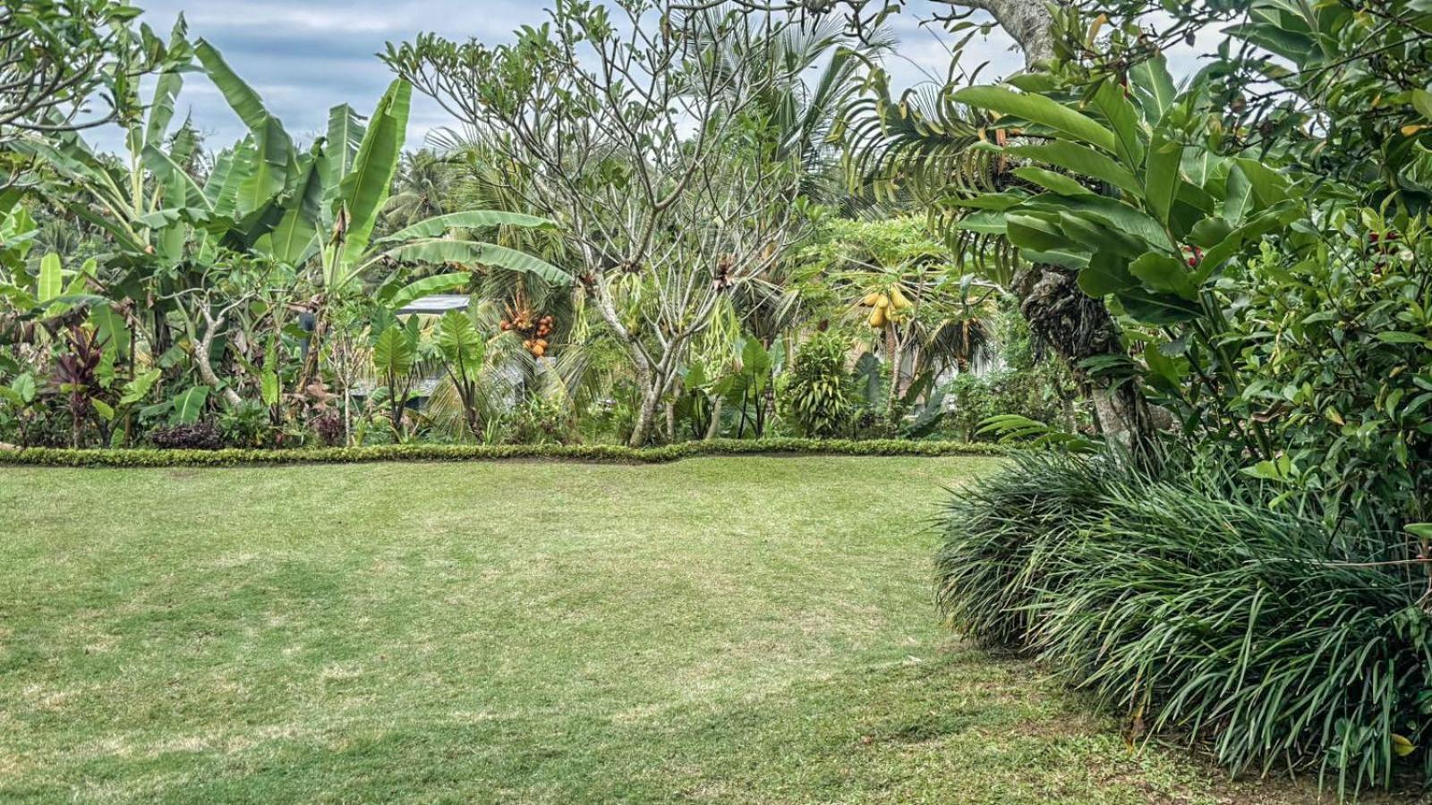 Dlobong Suite Ubud Екстер'єр фото