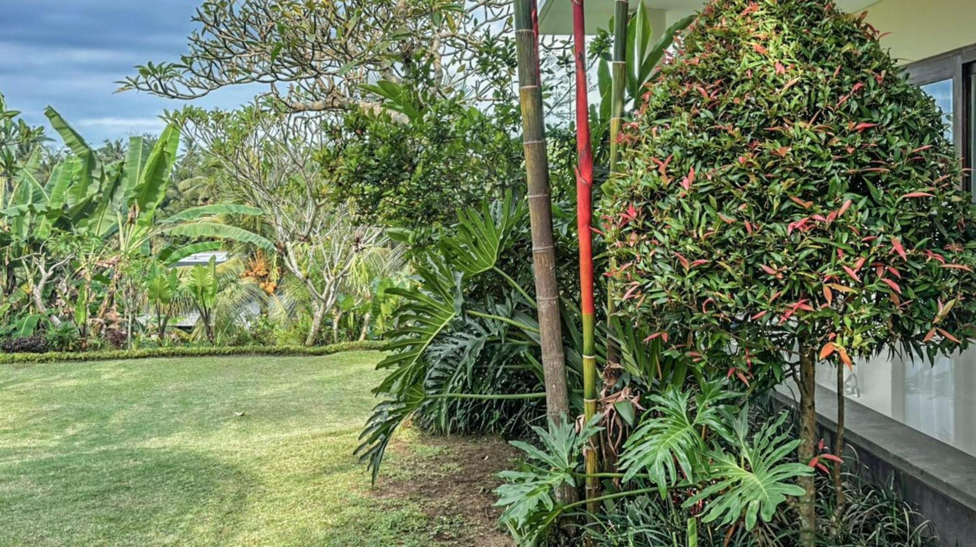 Dlobong Suite Ubud Екстер'єр фото